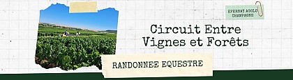 Randonnée équestre - Circuit Entre Vignes et Forêts