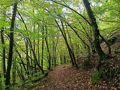 Roc de Charbonnière