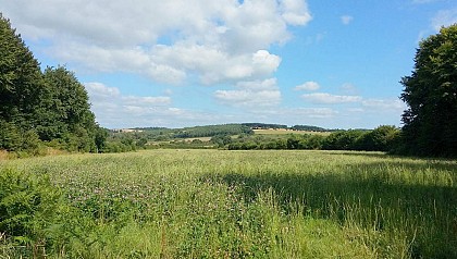 Le Sentier de Bleunioun Kaër | Lannéanou