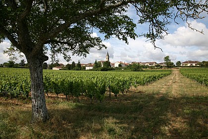 Circuit du Lissourgues