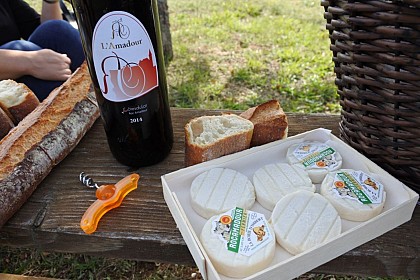 Entre Ouysse et Causse