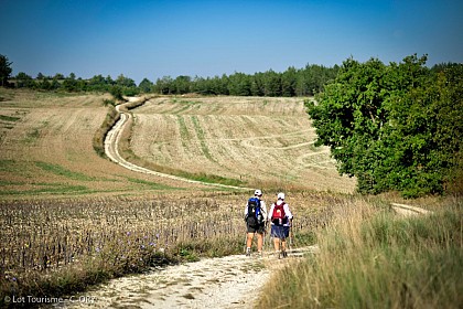 Tour du Lot - Tronçon 5 de Lalbenque à Duravel par le Quercy Blanc