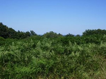 Sentier de la Montjoie