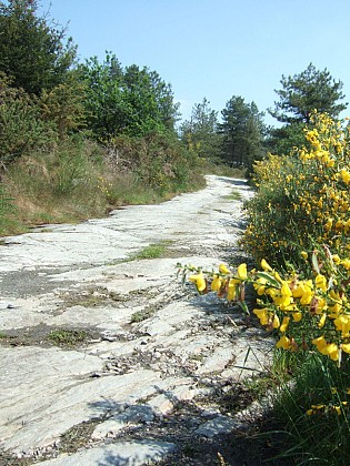 Circuit des Templiers, Limerzel