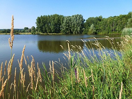 Le Tour de Saulx-les-Chartreux