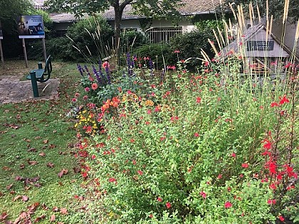 Balade au fil des ans à Lanouaille