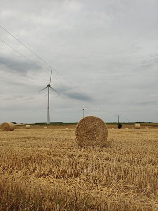Promenade des éoliennes