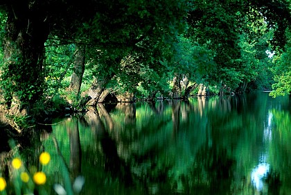Randonnée "Boires et coteaux"
