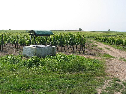 Chérac : les trois villages