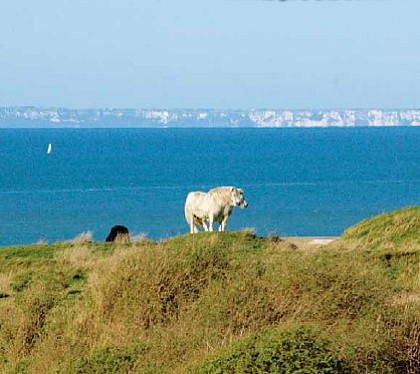 Sentier de la Baie de Saint-Jean