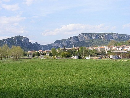 The banks of the Hérault