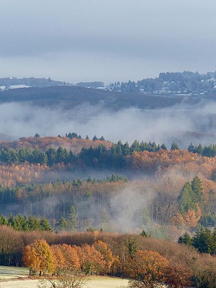 Saint Goussaud 1 - Bossabut