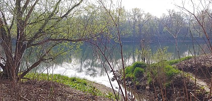 Vernaison - Les bords du Rhône (Rando douce)