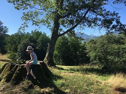 Colline de la Bergerie en écomobilité