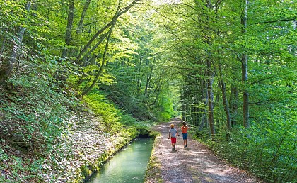 Sentier de découverte du Canal du Beaumont - depuis La Salle en Beaumont
