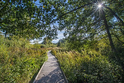 Sentier  d'interprétation du marais du Maravant