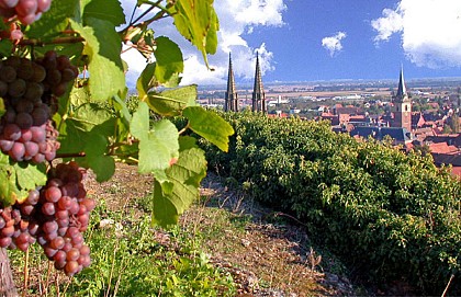 Circuit découverte d'Obernai à vélo