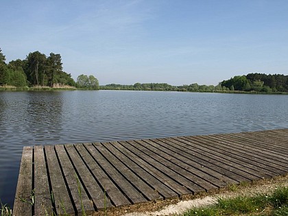 Lac de Rillé