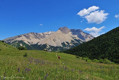 Col de Plate Contier