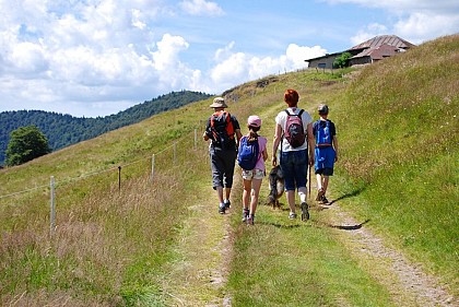 Balade famille - A la découverte des Neufs-Bois et de ses étangs