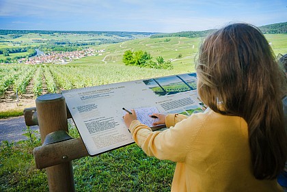 Sentier Bulles et Croquis