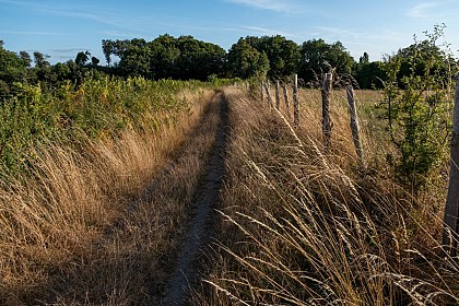 3 -  Les Herbiers - Le Chemin du courrier