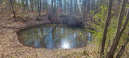 Sentier didactique Forest Fun