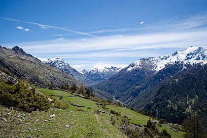 NellTo - Le tour de Cloche