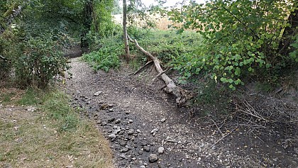 Messac / Vibrac : les coteaux de Seugne et Pimperade