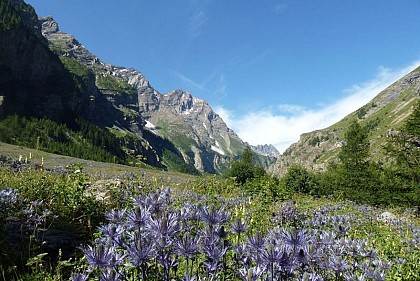 The Grande Cabane