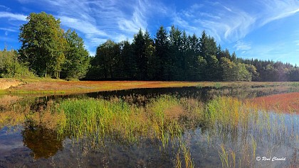 Circuit de La Petite Finlande