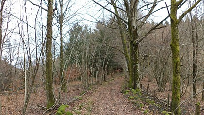 Circuit du Tour du Maillebourg