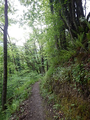 BOSQUET DES THERMES