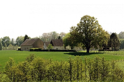 GUIDE RANDO DU PERCHE SARTHOIS : CIRCUIT N°4 - nogent-le-bernard "chemin faisant"