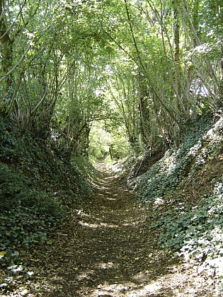 GUIDE RANDO DU PERCHE SARTHOIS : CIRCUIT N°7  - beaufay "de malitourne à montplaisir"