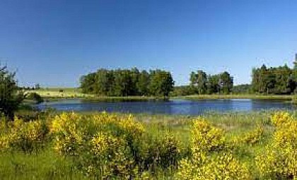 Circuit pédestre et VTT n°3 Les Grilloux