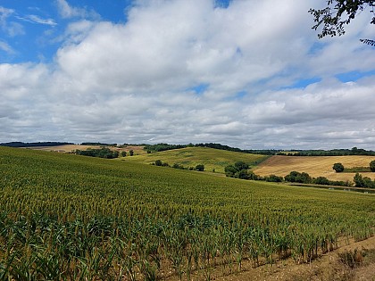 Lomagne PR7 - Circuit des Crêtes