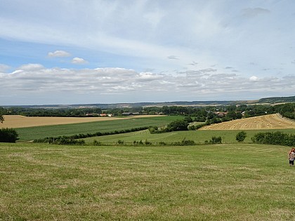 Le Mont Vert - Alquines - Parcours officiel