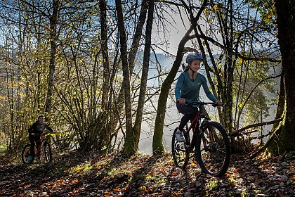 Circuit de VTT : Boucle n°8 de Brassy