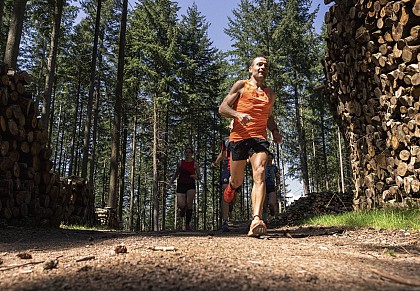 Circuit de Trail: Boucle n°3 de Moux-en-Morvan