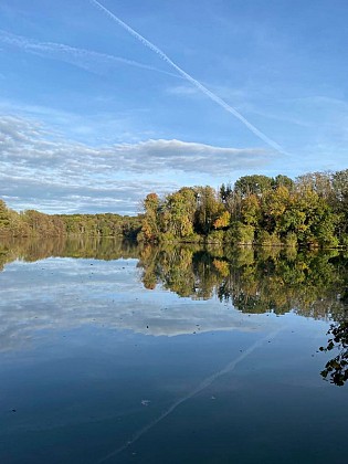 Entre Saône et Forêt