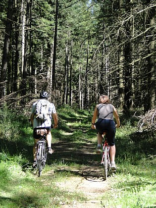 CIRCUIT VTT N°17 BLEU - ESPACE VTT-FFC SALVETAT / HAUT LANGUEDOC