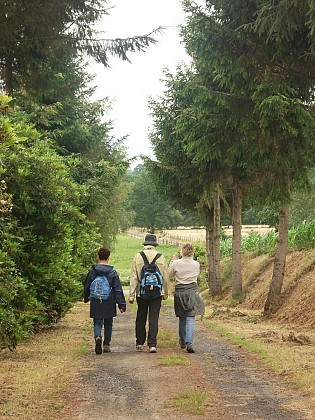 Circuit n° 3  Entre Deux Vallées