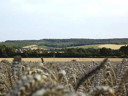 N°25 - Les Sarts - Parcours officiel