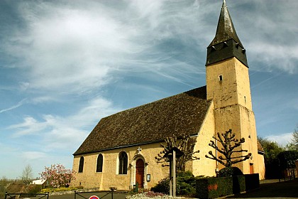GUIDE RANDO DU PERCHE SARTHOIS : CIRCUIT N°29 - thorigné-sur-dué "à l'ombre des haies"