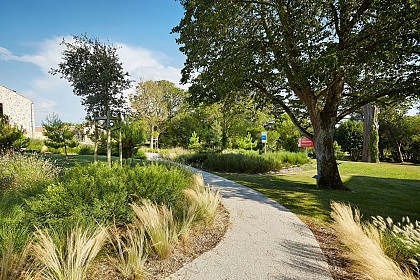 Vignes et Campagne - Brem sur Mer