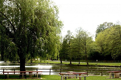 GUIDE RANDO DU PERCHE SARTHOIS : CIRCUIT N°42 - saint-calais "CIRCUIT botanique"