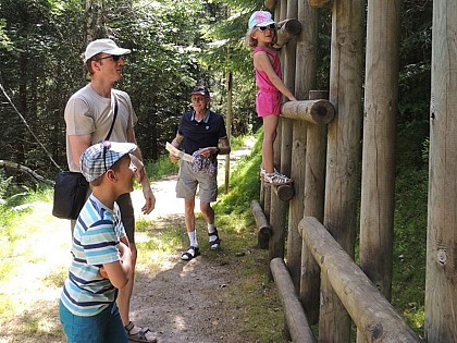 BALADE FAMILLE TÊTE EN L'AIR, EN FORÊT
