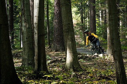 Circuit VTT n°88 l'étang de la Comtesse