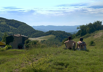 Sougraigne-la fleur de sel